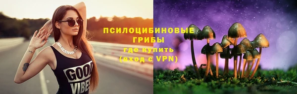 дурь Михайловка