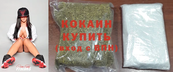 спиды Михайлов