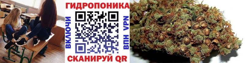 Каннабис ГИДРОПОН  Темников 
